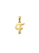 Script F Initial Charm 14K Gold A unique and timeless piece of jewelry that will be cherished for tears to come! This stunning piece is perfect for adding a touch a personalization and style to any outfit.   Professionally designed with integrity, this charm offers up an easy read for all to admire. Choose a letter, making it a truly special and unique pice of jewelry.