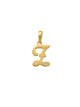 Script Z Initial Charm 14K Gold A unique and timeless piece of jewelry that will be cherished for tears to come! This stunning piece is perfect for adding a touch a personalization and style to any outfit.   Professionally designed with integrity, this charm offers up an easy read for all to admire. Choose a letter, making it a truly special and unique pice of jewelry.