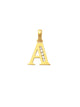 A Initial Charm 14K Gold A unique and timeless piece of jewelry that will be cherished for years to come! This stunning piece is perfect for adding a touch a personalization and style to any outfit.   Professionally designed with integrity, this charm offers up an easy read for all to admire. Choose a letter, making it a truly special and unique pice of jewelry. 