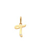 Script T Initial Charm 14K Gold A unique and timeless piece of jewelry that will be cherished for tears to come! This stunning piece is perfect for adding a touch a personalization and style to any outfit.   Professionally designed with integrity, this charm offers up an easy read for all to admire. Choose a letter, making it a truly special and unique pice of jewelry. 